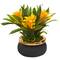 Nearly Natural; 11" Bromeliad Artificial Plant in Stoneware Planter; Category:Potted Plants; Image:2